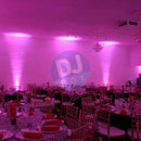 ADJ ADJ Mega Tripar Profile plus at DJbox.ie DJ Shop