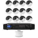 DJbox.ie DJ Shop Café/Retail Speaker Package - 12 x 6.5" Ceiling Speakers & Amp at DJbox.ie DJ Shop
