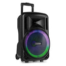 Fenton FT12LED MK2 Portable Sound System 12" 700W at DJbox.ie DJ Shop