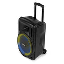 Fenton FT12LED MK2 Portable Sound System 12" 700W at DJbox.ie DJ Shop